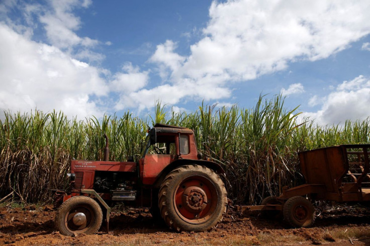 A tractor sits near a sugar cane field in Florida, Cuba, December 1, 2016.