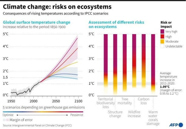 Climate change: the risks on ecosystems