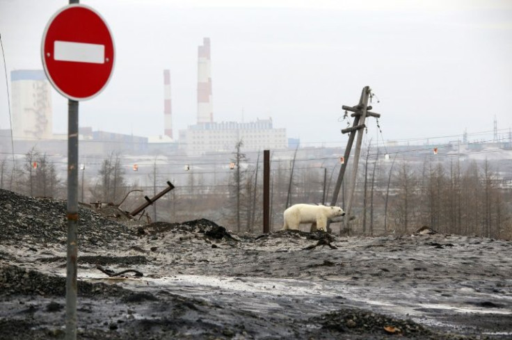 The IPCC has warned that warming poses a dire threat to many of the world's species
