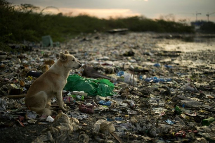 By some estimates, a garbage truck's worth of plastic is dumped into the sea every minute