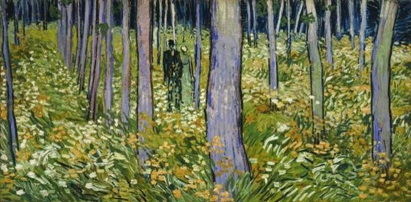 Van Gogh Restoration