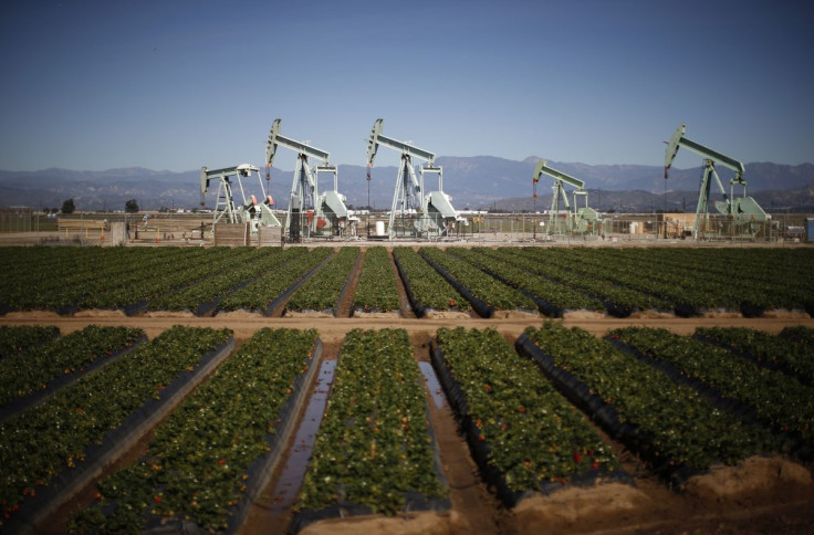 Oil pump jacks are seen next to a strawberry field in Oxnard, California February 24, 2015.