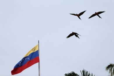 Birds fly next to a Venezuelan flag in Caracas, Venezuela January 12, 2021. 