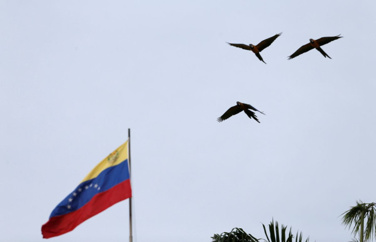 Birds fly next to a Venezuelan flag in Caracas, Venezuela January 12, 2021. 