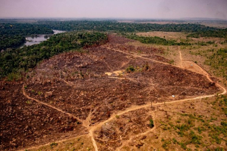 Deforestation in Brazil has surged since far-right President Jair Bolsonaro took office in 2019, hitting a 15-year high last year