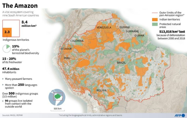 The Amazon basin in home to half the world's rainforest