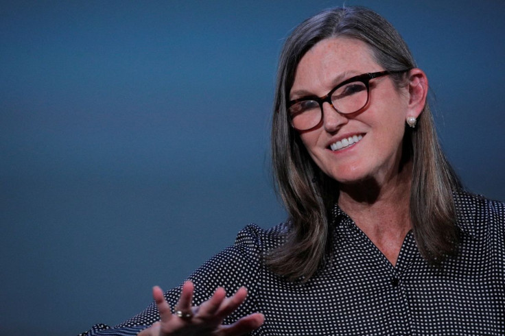 Cathie Wood, founder and CEO of ARK Investment Management LLC, speaks during the Skybridge Capital SALT New York 2021 conference in New York City, U.S., September 13, 2021.  