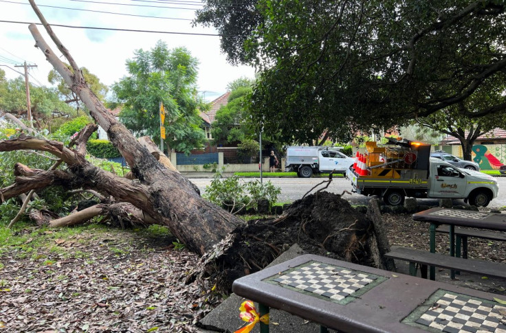 A tree lies toppled in a park following an overnight storm in the suburb of Stanmore in Sydney, Australia, March 9, 2022.  