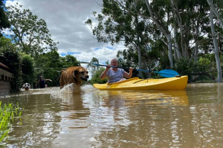 A woman kayaks with her dog around her flooded neighbourhood in the Windsor suburb of Sydney