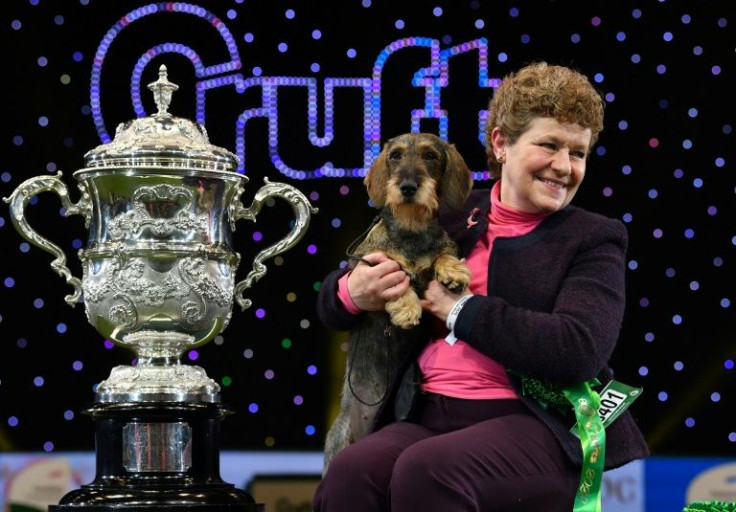 Crufts was last held in 2020, when the winner of Best in Show was Maisie, a wire-haired dachshund