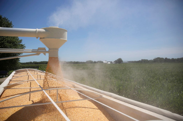 Corn is loaded into a truck at a farm in Tiskilwa, Illinois, U.S., July 6, 2018.
