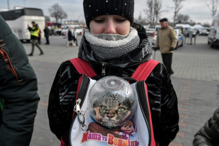 Many women crossing the border from Ukraine to Poland have brought animals with them