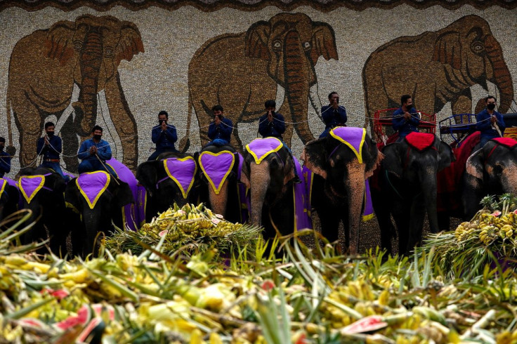 Mahouts ride elephants during Thailand's National Elephant Day celebration at Nong Nooch Tropical Garden in Pattaya, Thailand, March 13, 2022.