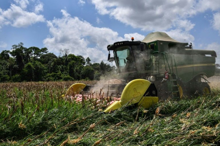 In this file photo taken on September 5, 2019 a harvester works on a corn field at Brazilian cattlebreeder Luiz Medeiros dos Santos' farm in Ruropolis, Para state, Brazil, in the Amazon rainforest