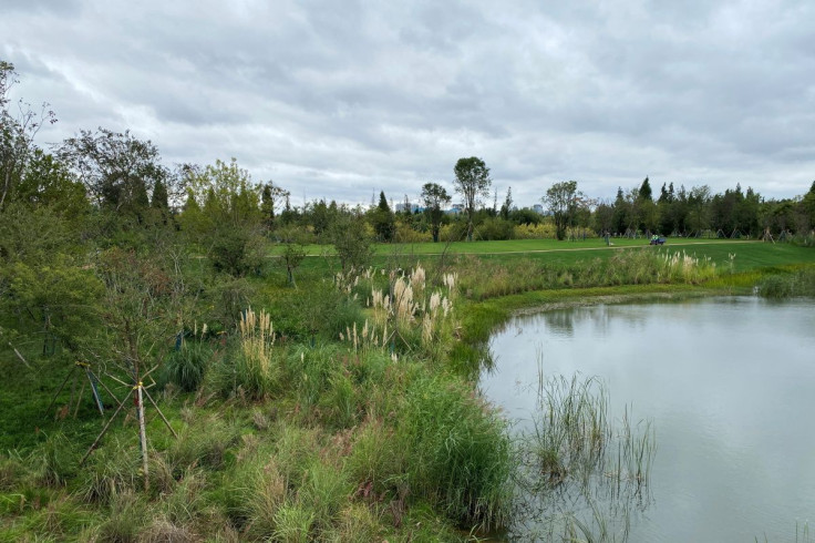 A part of a wetland restoration project on the edge of Dianchi Lake is pictured in Kunming, Yunnan province, China, October 14, 2021. Picture taken October 14, 2021.