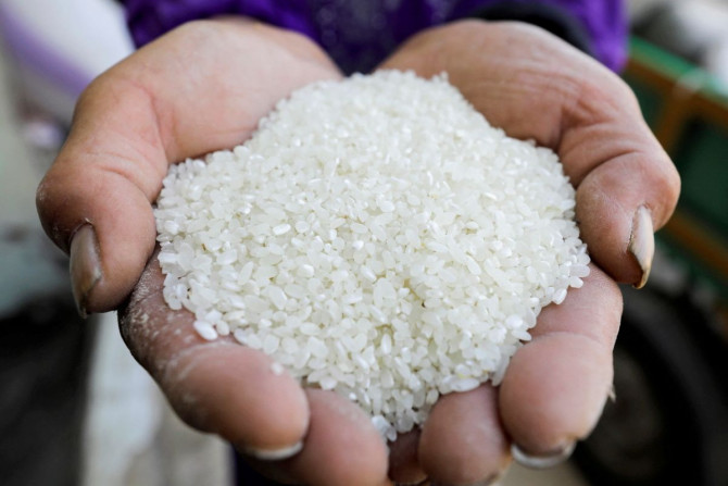A farmer shows rice grains after harvesting them from a field in the province of Al-Sharkia, northeast of Cairo, Egypt, September 21, 2021. 