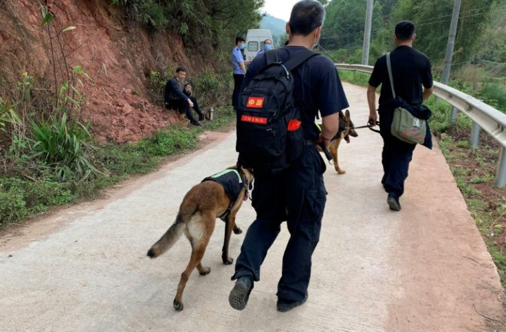 Recovery teams clambered over a scene of upturned earth, blasted trees and scattered debris, including a section of plane bearing the carrier's blue and red livery