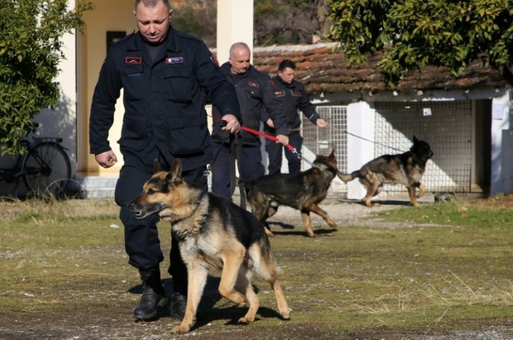 Many people looking to adopt are attracted by the highly trained police dogs