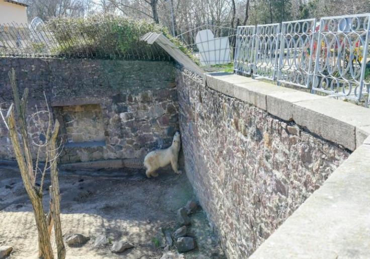 The Mykolaiv Zoo holds around 400 species, nearly half which are considered threatened