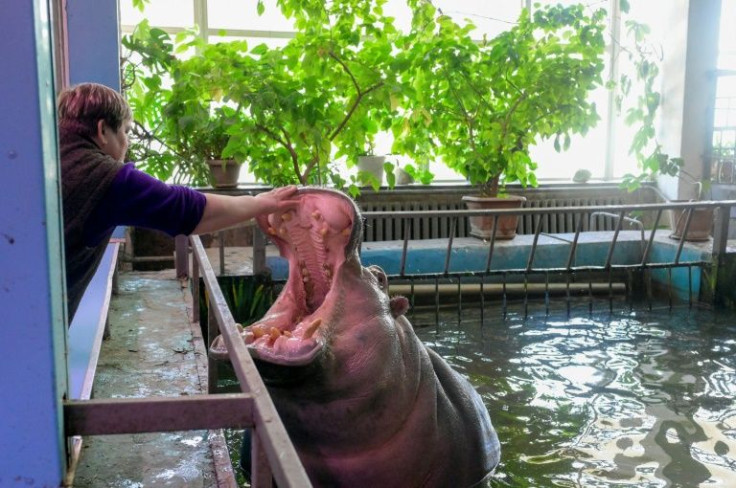 Around 100 staff members have remained to help take care of the animals