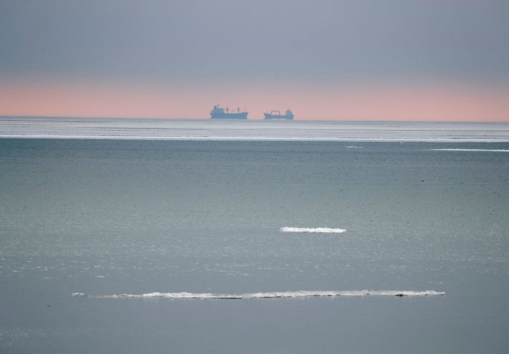 Ships are seen near the Azov Sea port of Mariupol, Ukraine December 2, 2018.
