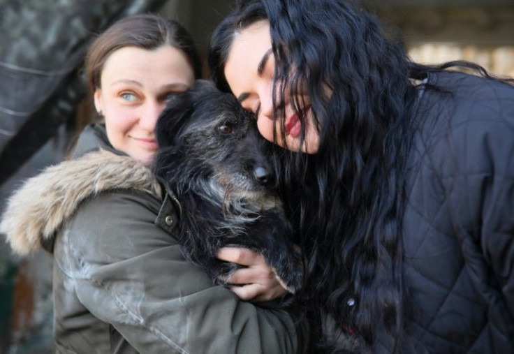 Many of the animals are being taken to safety abroad
