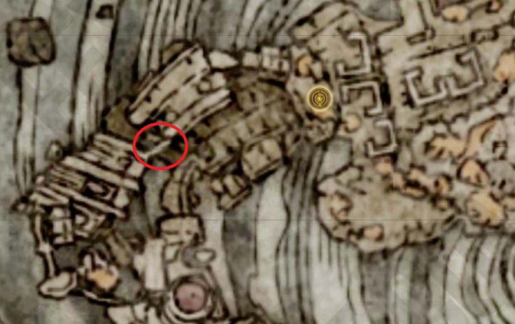 Iron Fist Alexander's location in Crumbling Farum Azula - Elden Ring