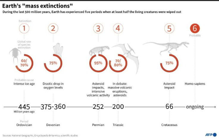 Earth's mass extinctions during the last 500 million years.