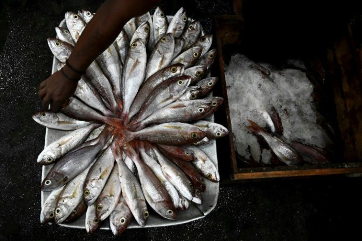 At Sri Lanka's largest fish market in Colombo, vendors say they are seeing far less seafood making its way to them