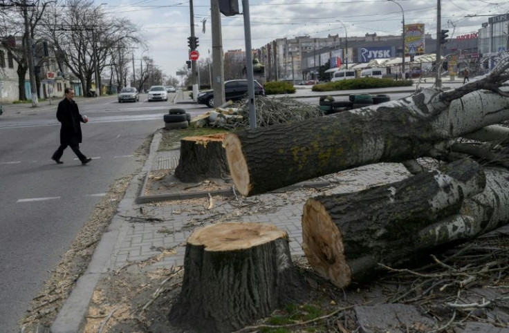 City crews cut down trees in the centre of Mykolaiv