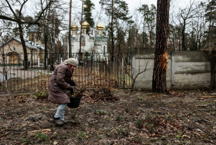 An elderly woman collects firewood to heat her house in Bucha