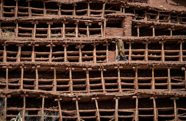 A beekeeper works at the Inzerki Apiary: a five-storeyed structure of wooden struts and dry mud stretching along a hillside