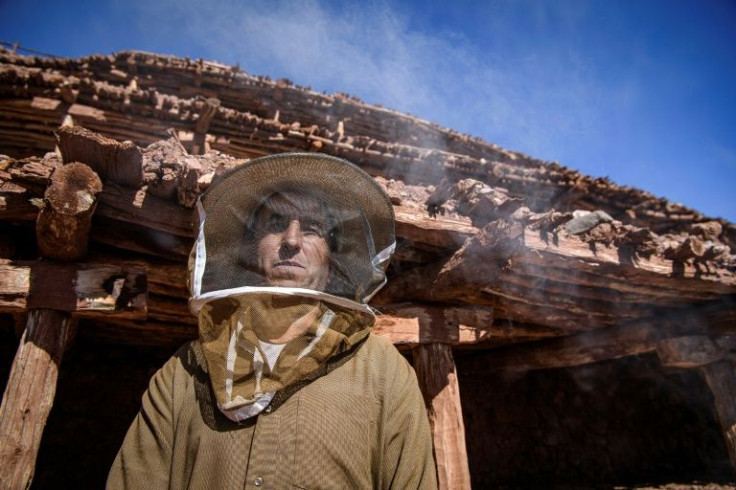 For the villagers of Inzerki, the collapse of hives is an ecological and economic disaster -- but also a crisis for their unique heritage