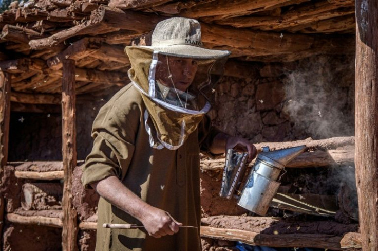 Villagers have set up an association to restore the structure, as well as planting herbs for the bees that are better able to tolerate hot and arid conditions