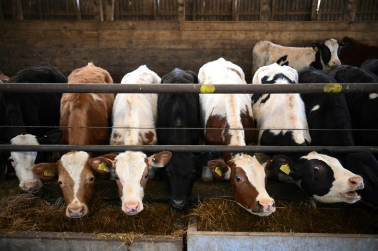 The agriculture sector is grappling with sky-high energy prices following pandemic lockdowns and labour shortages in the wake of Britain's exit from the European Union