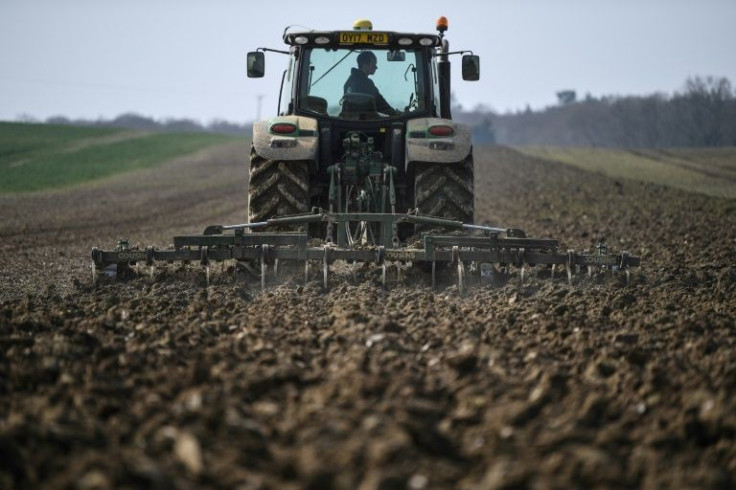 Worsening labour shortages, sparked by Brexit and exacerbated by Covid, are particularly acute in Britain's agricultural sector