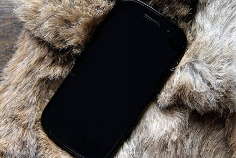 Google Nexus 4G