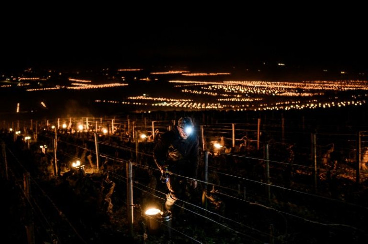 Wine growers burned candles to protect vineyards from the coldest April day in 75 years