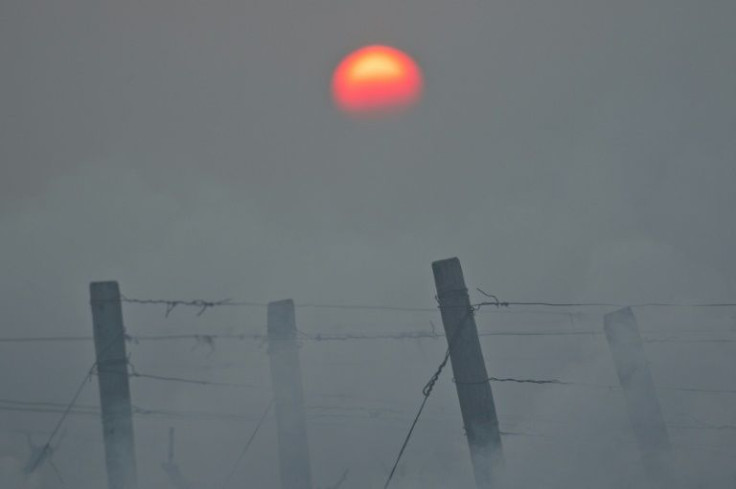 Smoke covers this vineyard as growers scrambled to protect crops from the second freak spring weather event in a row