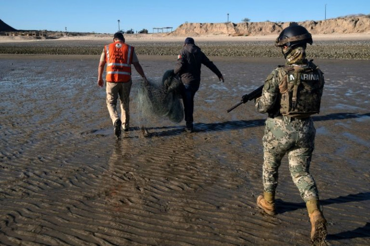 A Mexican navy officer guards fishing officials recovering a net during an operation in the Gulf of California to protect the vaquita, the world's smallest porpoise