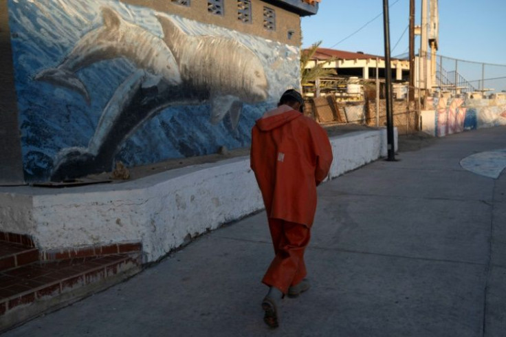 A fisherman walks next to a mural of a vaquita porpoise in San Felipe in northwestern Mexico