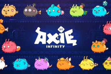 In-game assets called 'Axies' are seen in this undated handout image from the blockchain-based game Axie Infinity, which is owned by Sky Mavis. Sky Mavis/Handout via REUTERS    