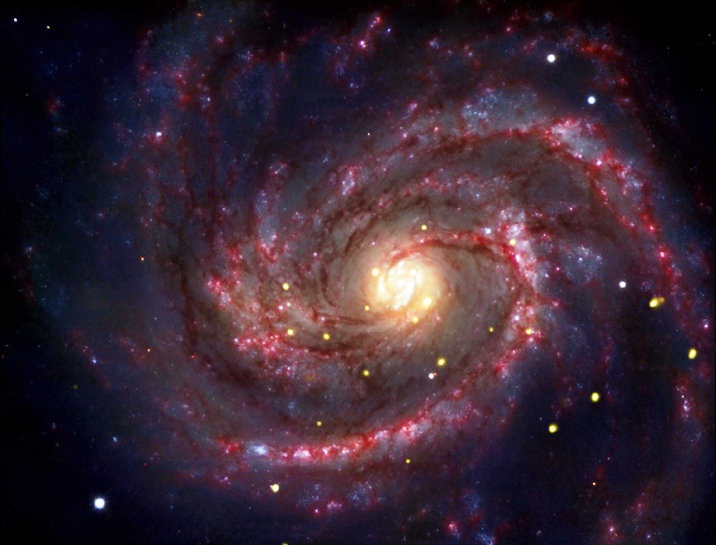 Galaxy that contains black hole in center