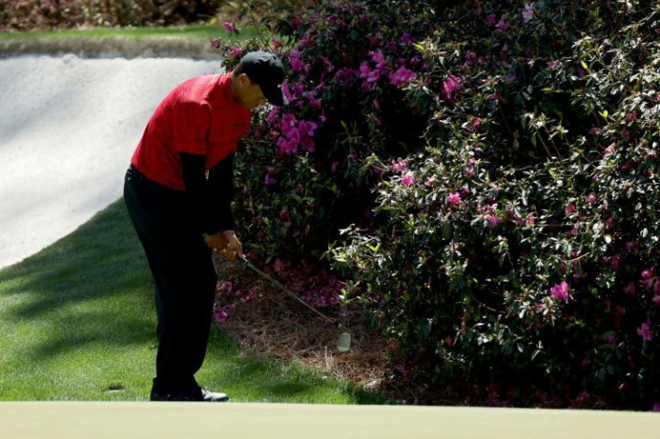 Escape shot: Tiger Woods plays a left-handed shot from near an azalea bush in the final round of the 86th Masters