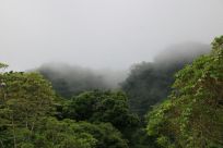 In the cloud forests of Costa Rica clouds drapes over mountain ridges