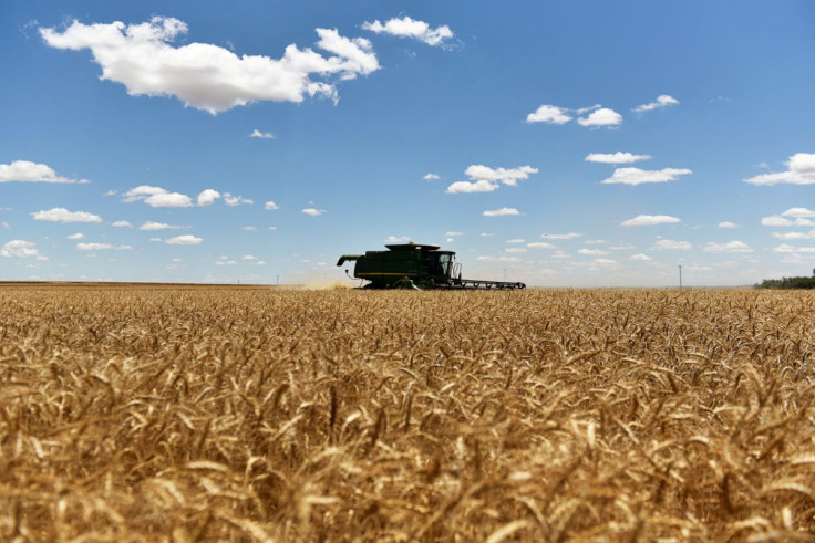 A combine harvests winter wheat in Corn, Oklahoma, U.S., June 12, 2019.  