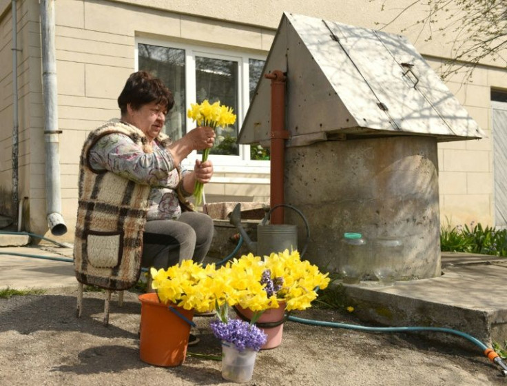 Most days of the week retired accountant Ivanna Kuziv snaps up some narcissus, drops them into a water-filled bucket, and heads into the city to sell them