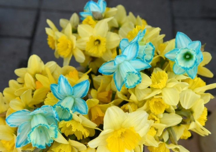 The flower business is not as good as it used to be, says florist Myroslava Kumechko