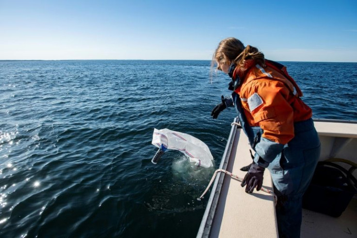 Intern Emily Patrick, 22, uses a special net to sample plankton and zooplankton during the expedition with the Center for Coastal Studies (NOAA permit 25740-01)