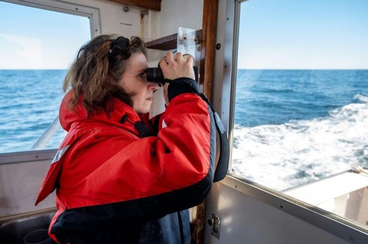 Marine biologist Christy Hudak, 46, uses binoculars to look for whales on the expedition with the Center for Coastal Studies (NOAA permit 25740-01) in Cape Cod Bay
